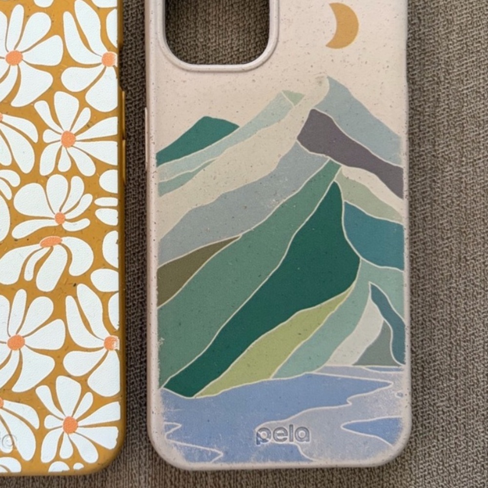 MOUNTAIN CASE